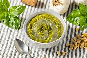 Fresh Green Organic Basil Pesto Sauce