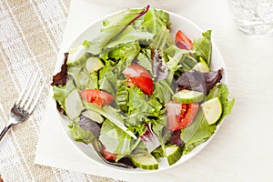 Fresh Green Organic Garden Salad