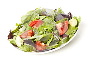 Fresh Green Organic Garden Salad