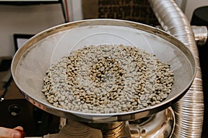 Fresh Green Organic Natural Coffee Beans being Poured into Industrial Coffee Roasting Machine in a Coffee Shop