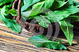 Fresh green organic sorrel leaves in wooden basket. Common sorrel or garden sorrel Rumex acetosa on wooden background. Other nam