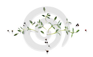 a Fresh green organic thyme leaves and peper isolated on white background. Food herb Ingredient, spice for cooking. collection for