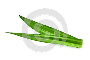 Fresh green pandan leaves isolated on white