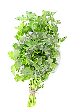 Fresh Green Parsley Isolated on White Background