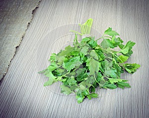 Fresh Green Parsley over Woody Old Background