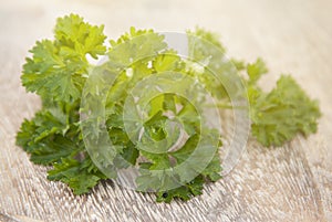Fresh green parsley on wooden rustic background. Condiment for preparring food.
