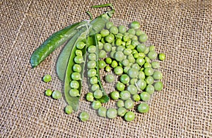 Fresh green pea pod with beans  on white background.