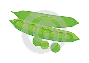 Fresh green pea pod icon set vector