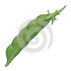 Fresh green pea pod, isolated vector illustration