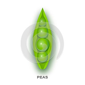 Fresh Green Peas in paper cut style on a white background.