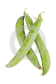 Fresh green peas pods