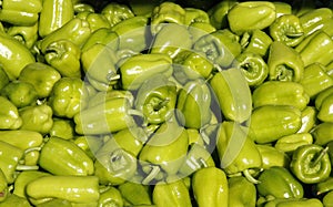 Fresh Green Pepper