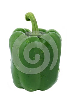 Fresh green pepper