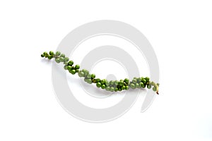 Fresh green pepper or peppercorns isolated on white background