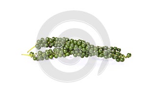 Fresh green peppercorns