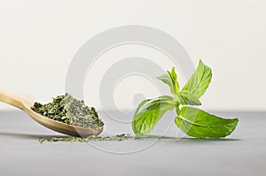 Fresh green peppermint leaves and dried mint leaves in wooden spoon on rustic table