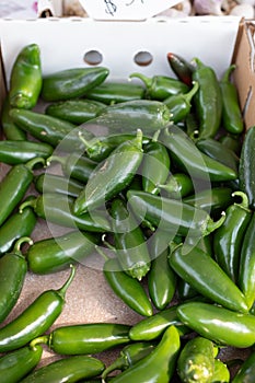 Fresh green peppers in an outdoor market