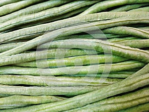 Fresh green phaseolus  vegetables