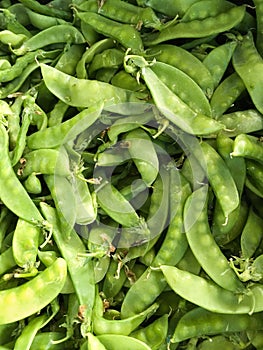 Fresh green pisum sativum