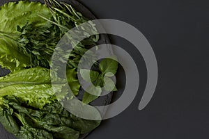 Fresh green on a plate of slate on a black background.