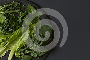 Fresh green on a plate of slate on a black background