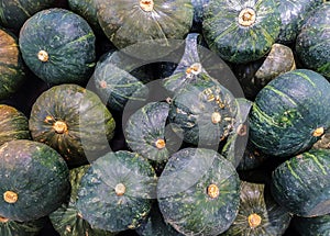 Fresh green pumpkins on a basket at supermarket