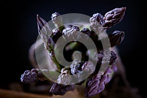 Fresh green purple asparagus on vegetables background. Gourmet concept 2. Selective focus macro view