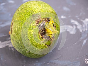 Fresh green radish on a gray spotted background