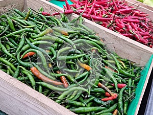 Fresh green and red peppers packed in wooden box in one fresh market