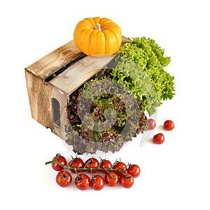 Fresh green and red salad leaves in a wooden box, small pumpkin and branch of cherry tomatoes isolated on white