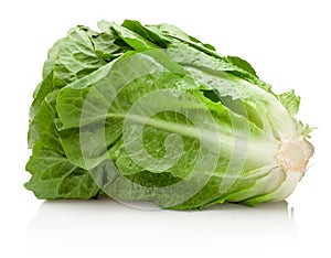 Fresh green romaine lettuce isolated on white background