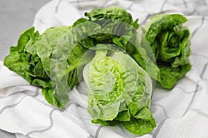 Fresh green romaine lettuces on grey table, closeup
