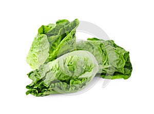 Fresh green romaine lettuces isolated on white
