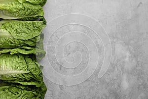 Fresh green romaine lettuces on light grey table, flat lay. Space for text