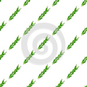 Fresh green rosemary leaves, twigs and branches seamless pattern on white background.