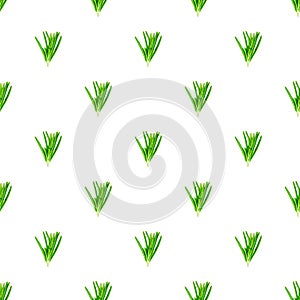 Fresh green rosemary leaves, twigs and branches seamless pattern on white background.