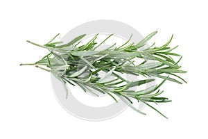 Fresh green rosemary twigs isolated on white