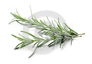 Fresh green rosemary twigs isolated on white