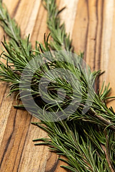 Fresh green rosemary on a wooden board