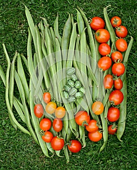 Fresh green runner beans with tomatoes and cucamelons