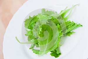 Fresh green salad