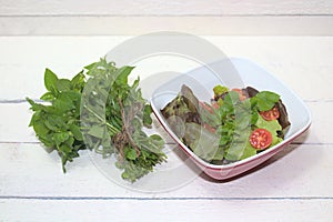 A fresh green salad with chickweed