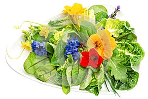 Fresh green salad with edible garden flowers. Healthy food