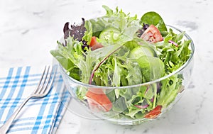 Fresh Green Salad Healthy Food