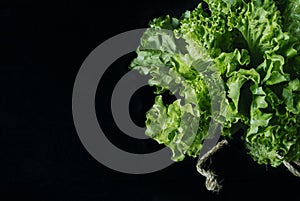 Fresh green salad lettuce leaves isolated on a dark background of the aged wooden boards vintage horizontal top view