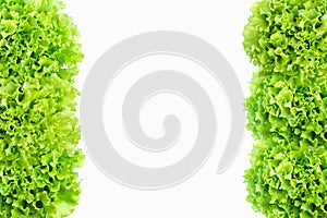 Green salad lettuce vegetable frame isolated on white background