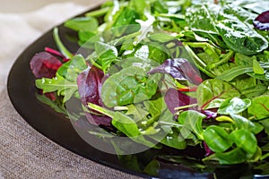 A fresh green salad. A notion of healthy meals