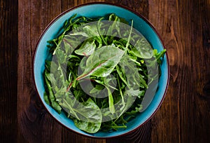 Fresh green salad with spinach, arugula, mangold