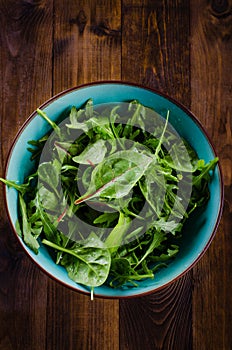 Fresh green salad with spinach, arugula, mangold and lettuce on d