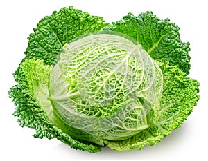 Fresh green savoy cabbage isolated on white background